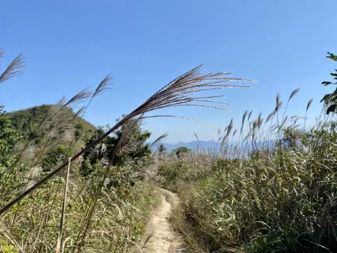 彌勒山經昂坪棧道