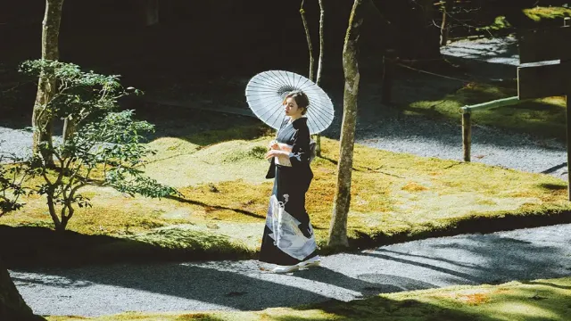 浅草寺での着物レンタル予約