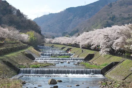 箱根温泉