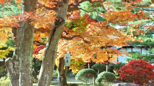 京都府立植物園