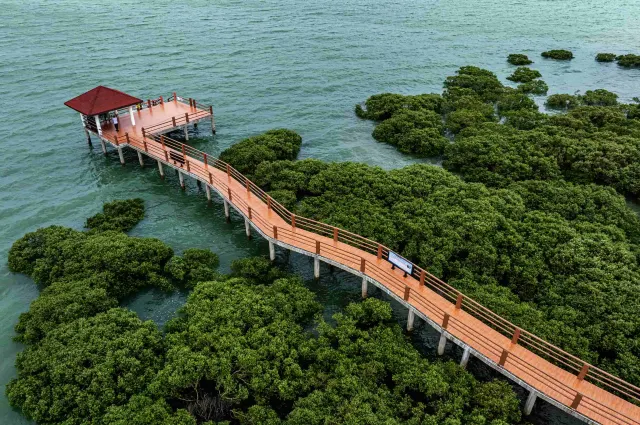 特呈島