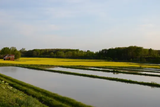 江部乙丘陵地(北海道)