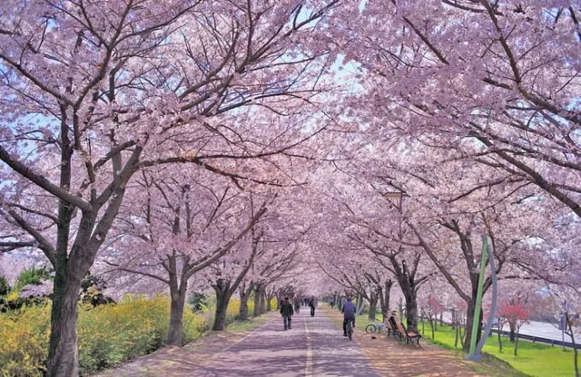 三樂生態公園