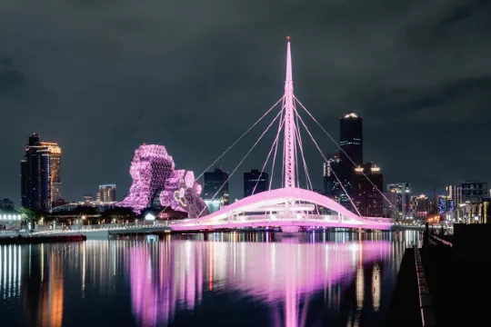 高雄六大地標點亮粉紅色 大港橋