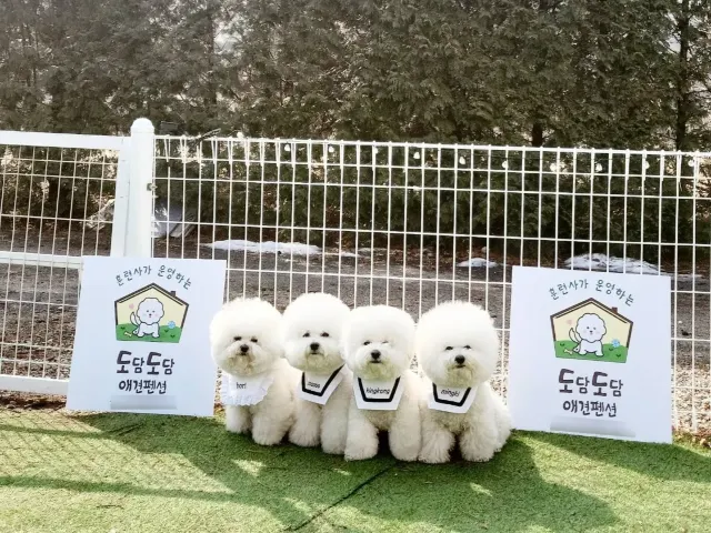 훈련사가 있는 애견동반 펜션