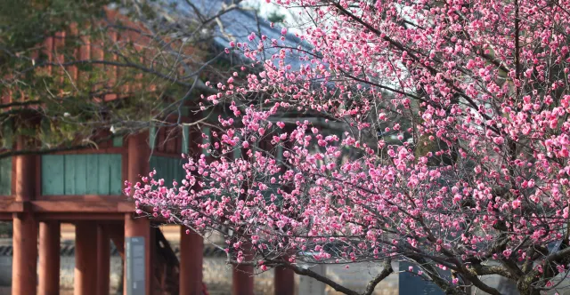 국내 여행지 추천, 전주