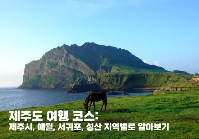 제주도 여행 코스
