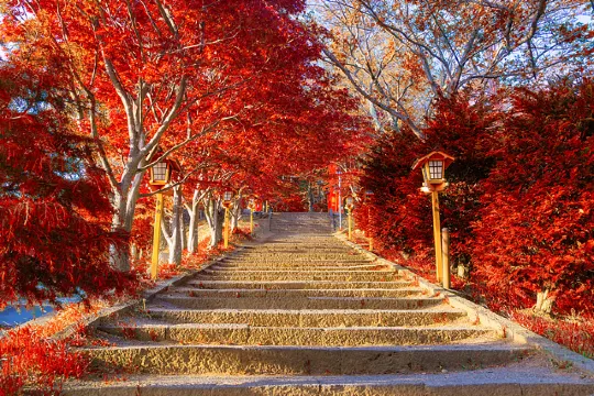 紅葉2026】紅葉見頃・紅葉名所10選・鳴子峡・七味温泉などおすすめ