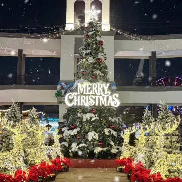 高雄市 草衙 SKM Park 雪境童話村