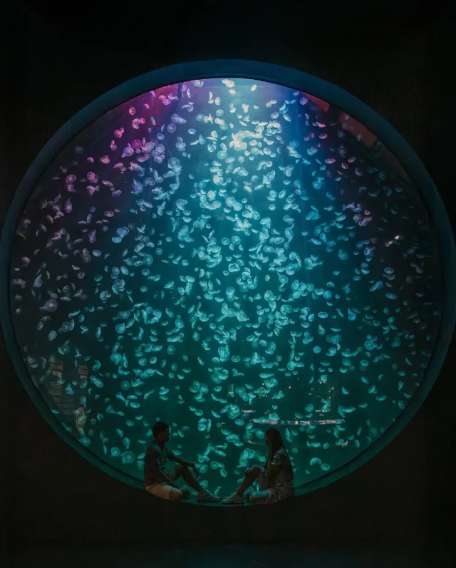 新加坡海洋生態館