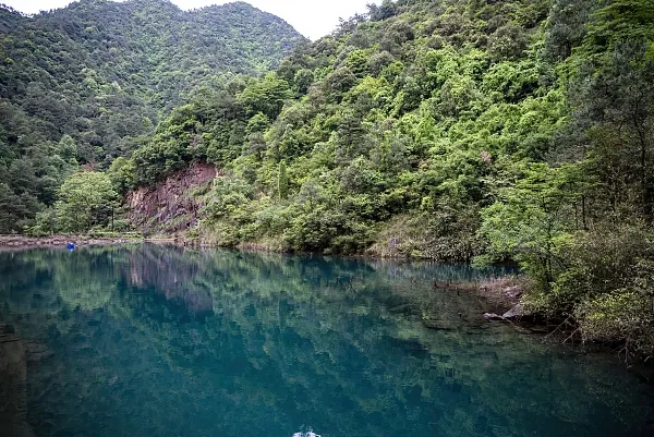 大奇山國家森林公園