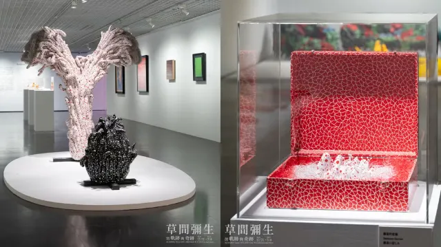 草間彌生的『軌跡』與『奇跡』」展覽