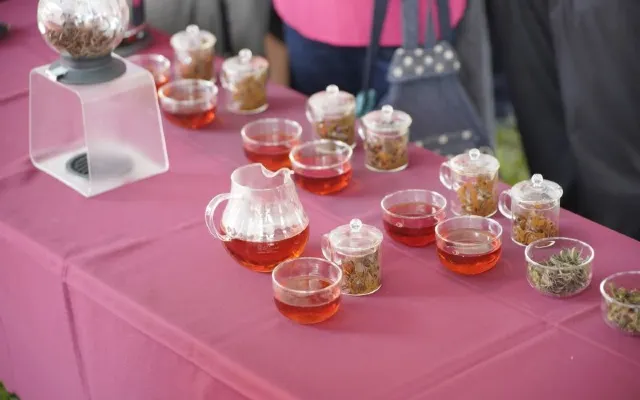 日月潭紅茶文化季