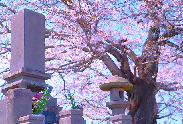 お墓参り