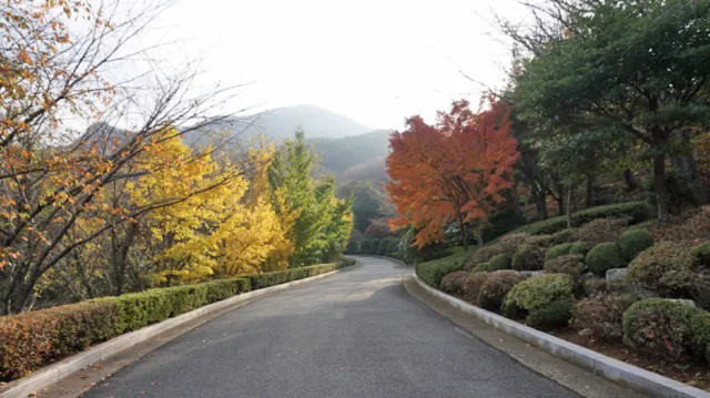 경남 숨은 명소 진해드림파크