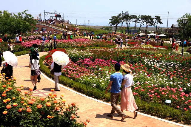 곡성세계장미축제공연