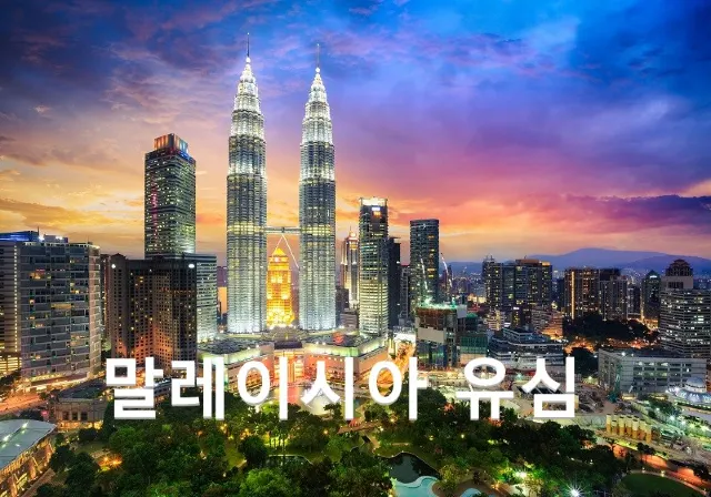 말레이시아 유심