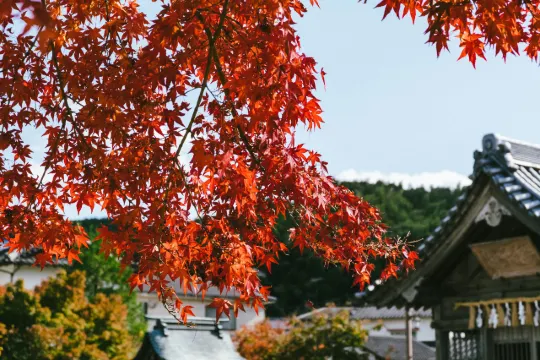 京都紅葉景點05南禪寺