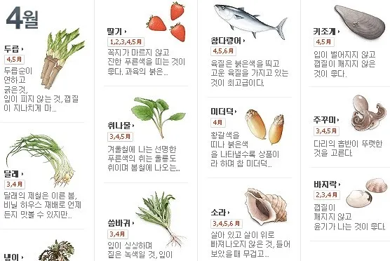 제철음식 4월