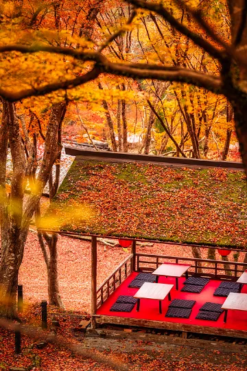 紅葉2026】紅葉見頃・紅葉名所10選・鳴子峡・七味温泉などおすすめ