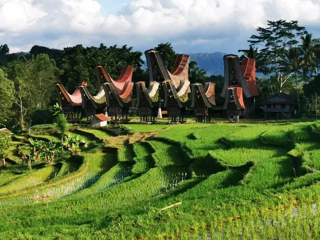 Тана Тораджа