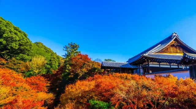 東福寺