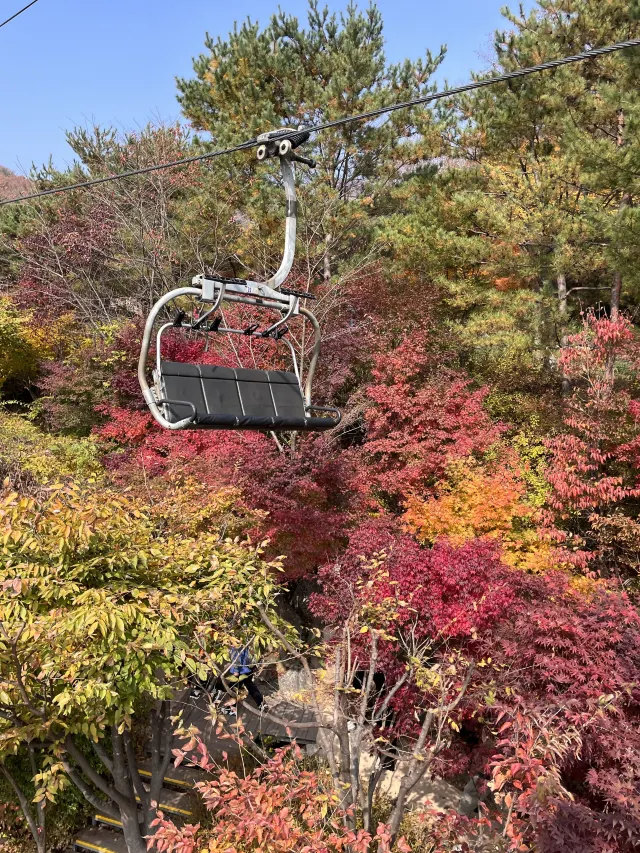서울 근교 가을 여행