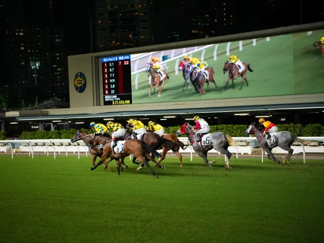 Hong Kong Happy Valley Racecourse horses racing