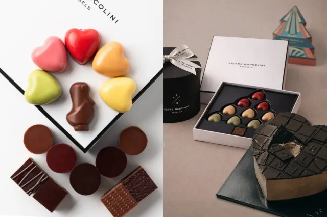 2026 발렌타인데이 초콜릿 추천 피에르 마르콜리니