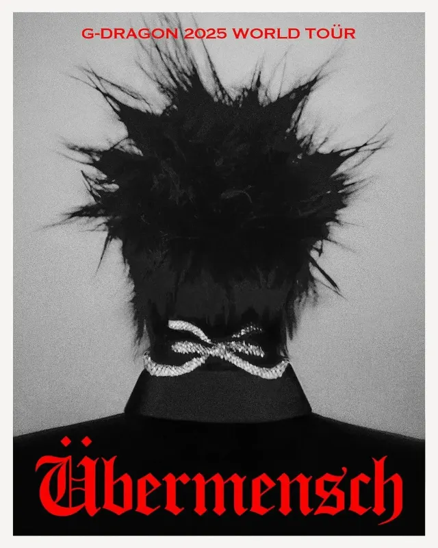 权志龙演唱会海报