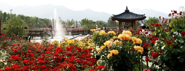 곡성세계장미축제장소