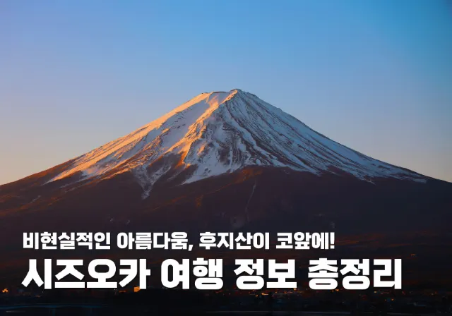 시즈오카 여행 총정리