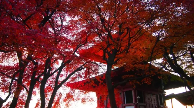 三明院