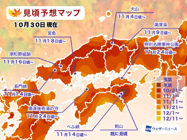 中国 四国地區紅葉