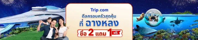 1mj6012000saq97b82FFF.jpg