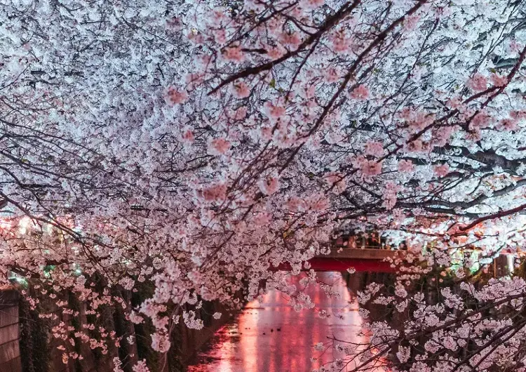 全国旅行支援｜延長決定！最新情報のまとめ