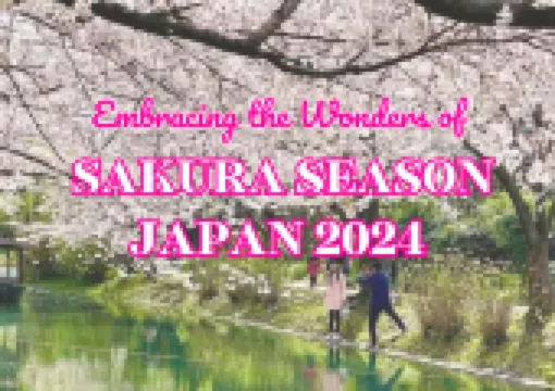 Embracing the Wonders of Sakura Season Japan 2024