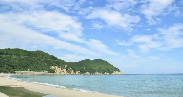 바다 근처에 있는 애견동반 펜션