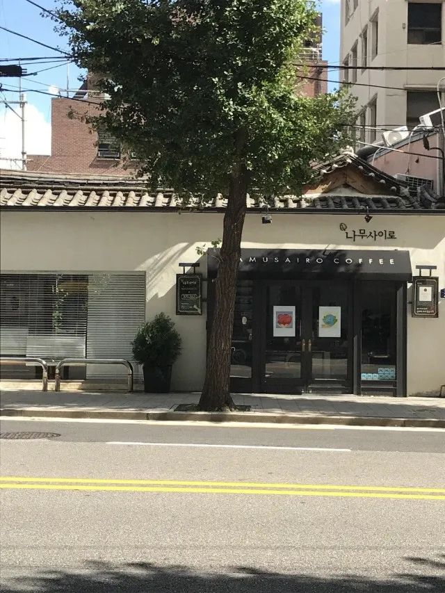 광화문 카페