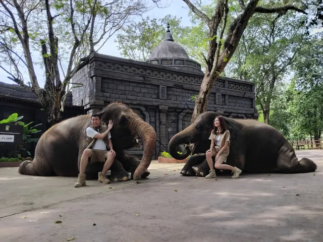 solo safari photo