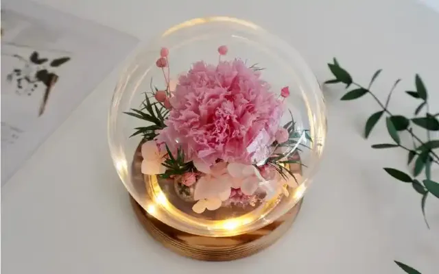 永生康乃馨玻璃罩小夜燈