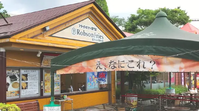 羅布森炸物