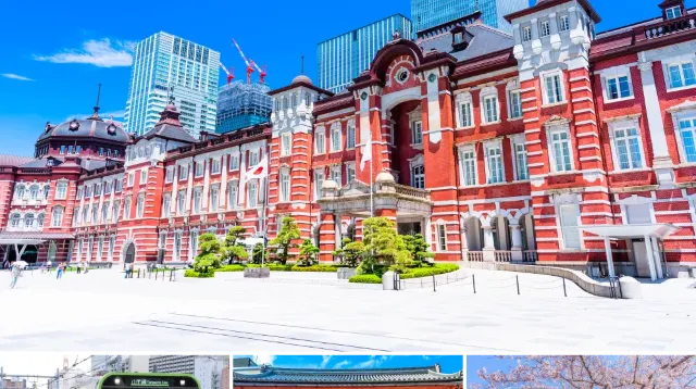 웰컴 스이카 추천