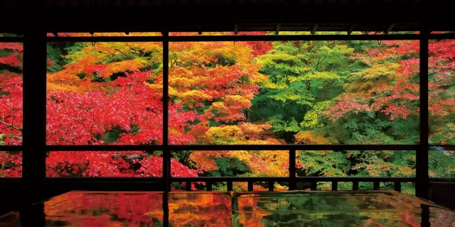 琉璃光院