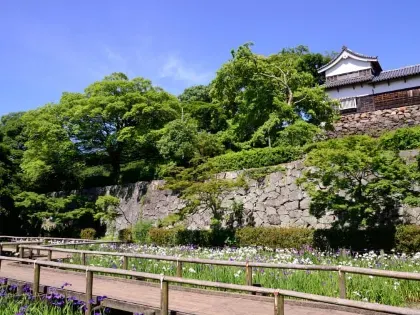 福岡城跡と舞鶴公園