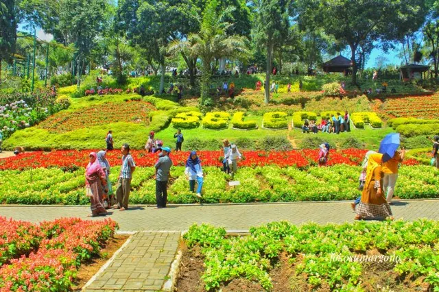 selecta garden photo