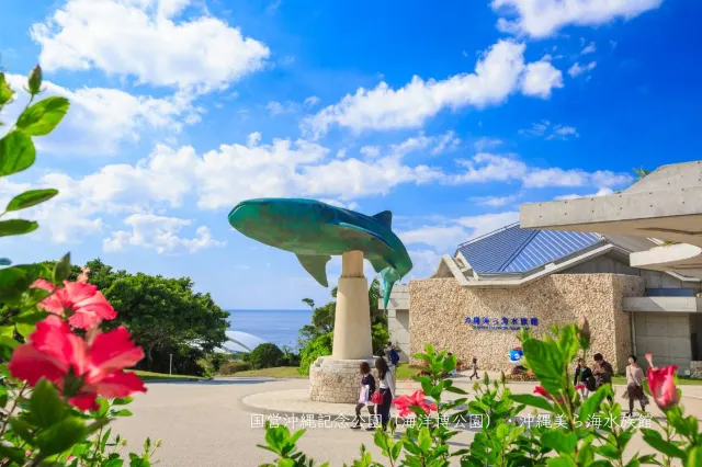 Things to do at Okinawa Churaumi Aquarium