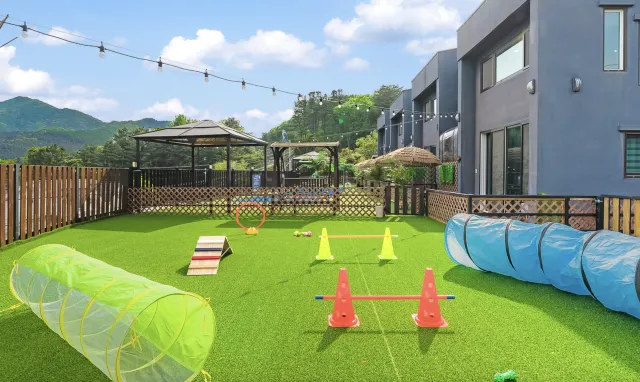 애견동반 펜션 가평 워크스테이 애견 풀빌라