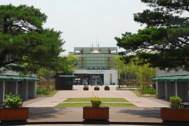 담양 여행, 한국 대나무 박물관