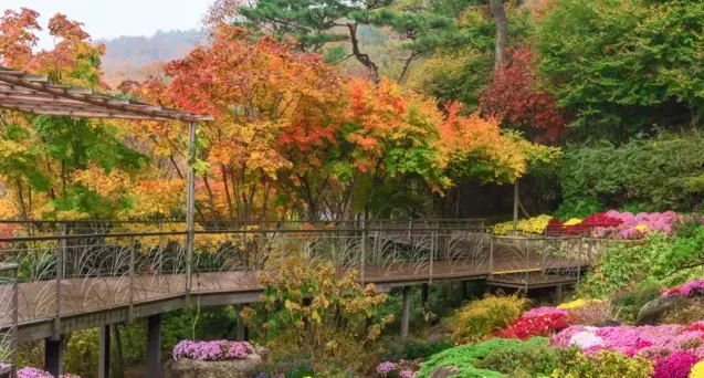 화담숲 이용 안내